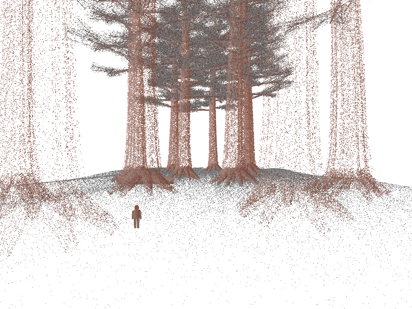 A level trail through giant sequoias, rendered as a point cloud.