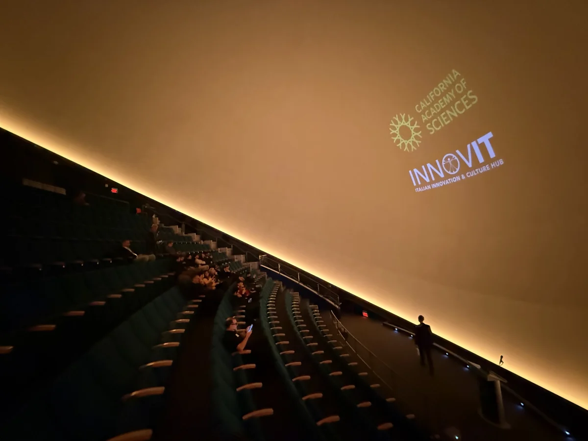 INNOVIT — archive photograph 13